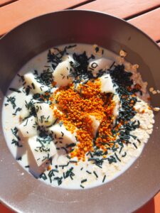 spiruline en brindilles La Zébuline
